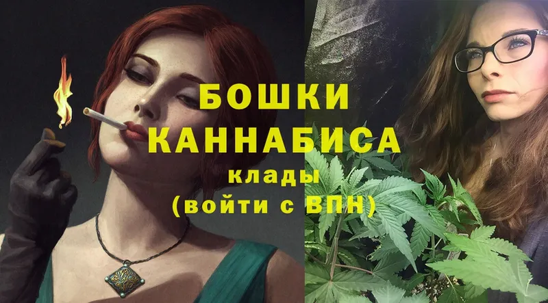 Бошки марихуана OG Kush  Горно-Алтайск 